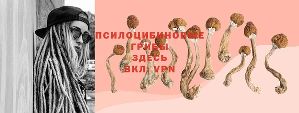 прущая мука Абинск