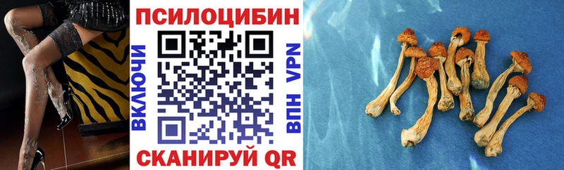 где продают   Томари  Псилоцибиновые грибы MAGIC MUSHROOMS 